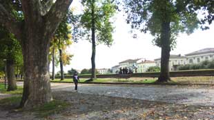 Lucca, Stadtmauer